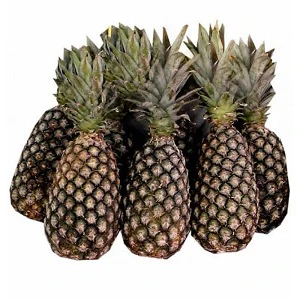 Pineapple Cotonou x6