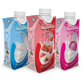 Small Hollander Yoghurt